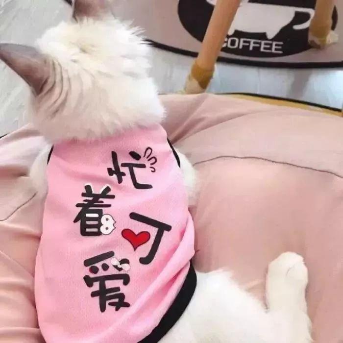 淘宝头像图片大全(网店logo图片大全)