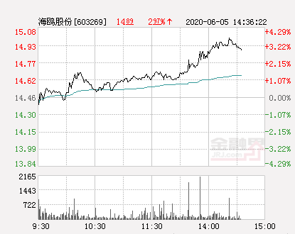 海鸥股份是什么概念股（海鸥股份大幅拉升0.9%）