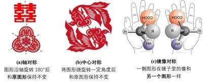 什么是对称轴，我们为什么喜欢“对称”