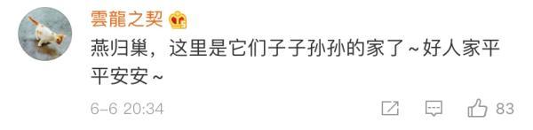 燕子是保护动物吗，燕子在家里搭窝预示着什么意思（老板为它们留了十年的门）