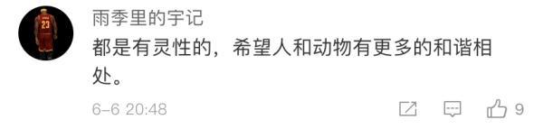 燕子是保护动物吗，燕子在家里搭窝预示着什么意思（老板为它们留了十年的门）