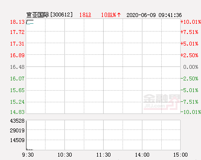 宣亚国际股票，宣亚国际异常波动公告（快讯：宣亚国际涨停）