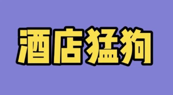 词语少年的意思，描写少年的成语及意思是什么（酒店猛狗、无肠公子、惨绿少年……这些竟然都是成语）