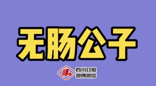 词语少年的意思，描写少年的成语及意思是什么（酒店猛狗、无肠公子、惨绿少年……这些竟然都是成语）