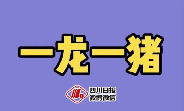 词语少年的意思，描写少年的成语及意思是什么（酒店猛狗、无肠公子、惨绿少年……这些竟然都是成语）