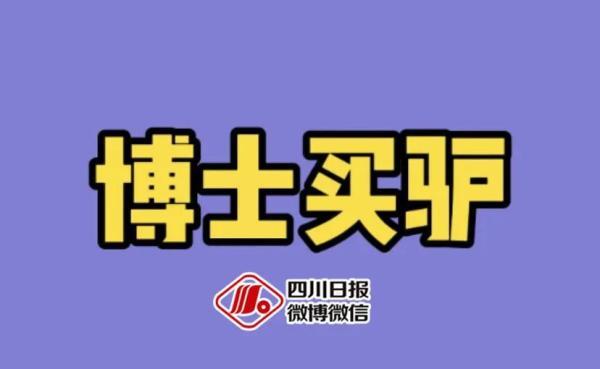 词语少年的意思，描写少年的成语及意思是什么（酒店猛狗、无肠公子、惨绿少年……这些竟然都是成语）