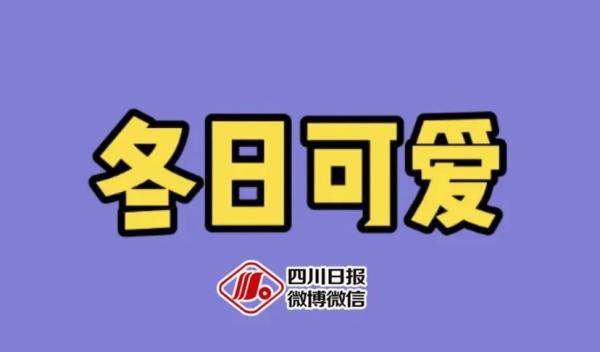 词语少年的意思，描写少年的成语及意思是什么（酒店猛狗、无肠公子、惨绿少年……这些竟然都是成语）