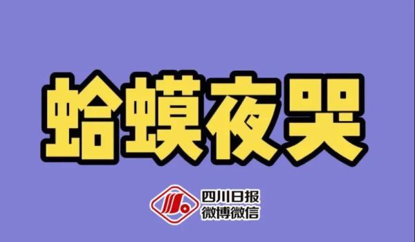 词语少年的意思，描写少年的成语及意思是什么（酒店猛狗、无肠公子、惨绿少年……这些竟然都是成语）