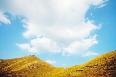 北纬40度东经116度是哪里，东经116度,北纬40度（北京西山永定河文化带的保护与建设）