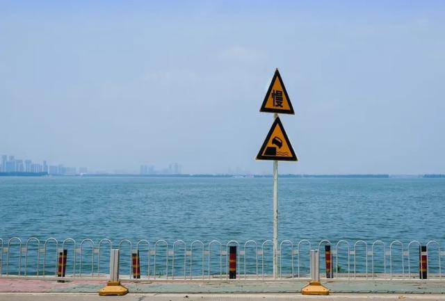 有创意的毕业设计主题名字，幼儿园特色毕业主题名字（这些脑洞大开的毕业设计）