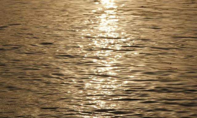 有创意的毕业设计主题名字，幼儿园特色毕业主题名字（这些脑洞大开的毕业设计）