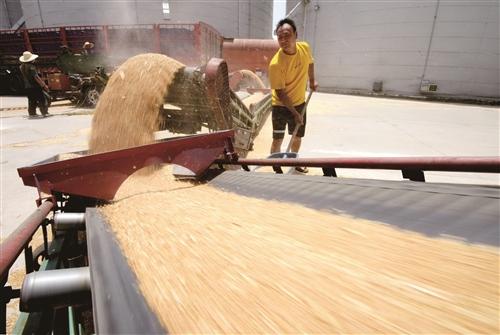 睢宁家电维修 让农民卖“明白粮”“舒心粮”徐州各地全面开展夏粮收购工作