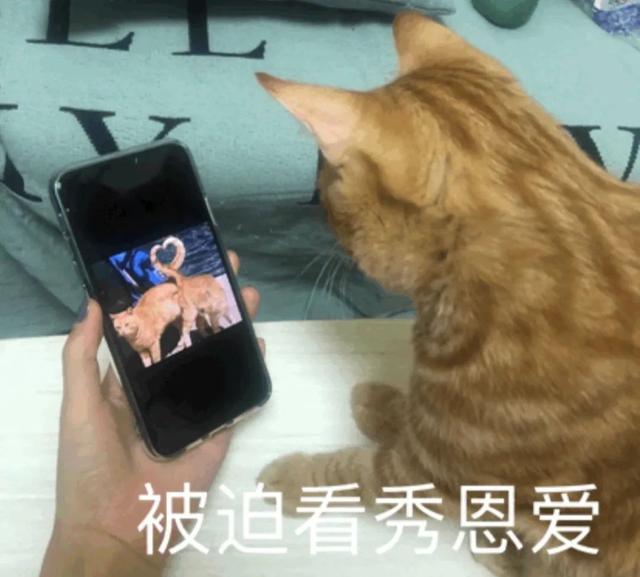 骚气的游戏id，骚气又不失文雅的id（千万别以为猛男玩游戏冷酷无情）