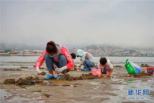 炎炎夏日赶海篇，走，一起赶海去