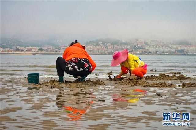 炎炎夏日赶海篇，走，一起赶海去