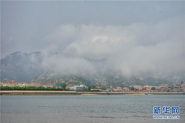 炎炎夏日赶海篇，走，一起赶海去