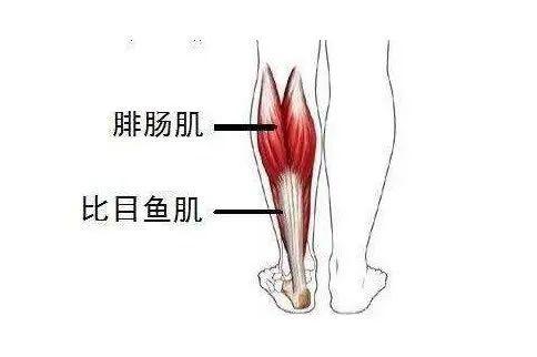 瘦腿针多少钱，小腿打瘦腿针多少钱（数月后右小腿短了一截…）