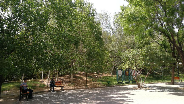 水栒子能吃吗，蚰子可以吃吗（园林人眼中的“增彩延绿”）