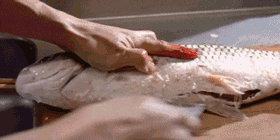 小麦秸秆是什么材质，小麦秸秆是什么材质有毒吗（还自带磨刀、磨蒜功能）