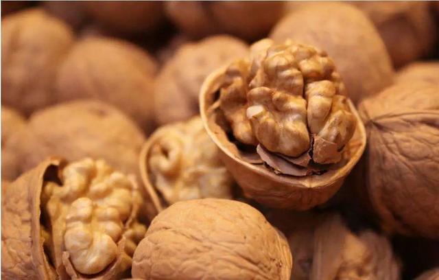 巴西松子的功效与作用，巴西松子的功效与作用、禁忌和食用方法（这些好吃的“健康的零食”）