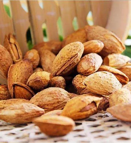 巴西松子的功效与作用，巴西松子的功效与作用、禁忌和食用方法（这些好吃的“健康的零食”）