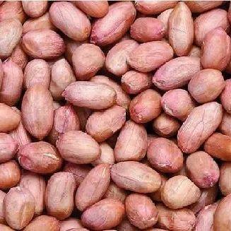 巴西松子的功效与作用，巴西松子的功效与作用、禁忌和食用方法（这些好吃的“健康的零食”）