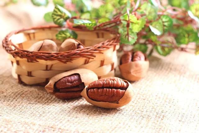 巴西松子的功效与作用，巴西松子的功效与作用、禁忌和食用方法（这些好吃的“健康的零食”）