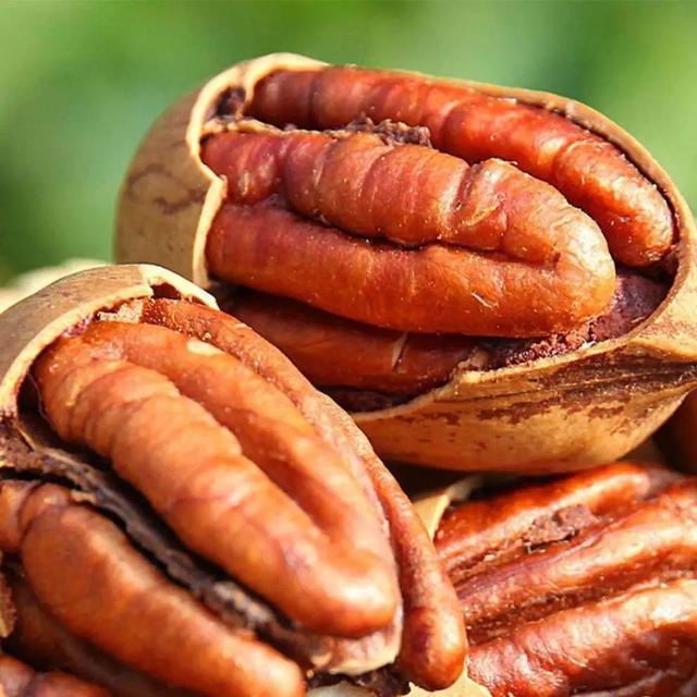 巴西松子的功效与作用，巴西松子的功效与作用、禁忌和食用方法（这些好吃的“健康的零食”）