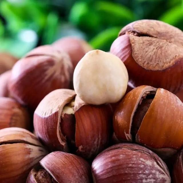 巴西松子的功效与作用，巴西松子的功效与作用、禁忌和食用方法（这些好吃的“健康的零食”）