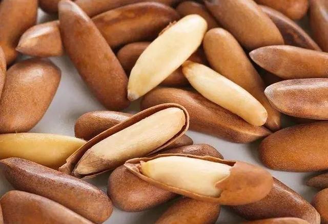 巴西松子的功效与作用，巴西松子的功效与作用、禁忌和食用方法（这些好吃的“健康的零食”）