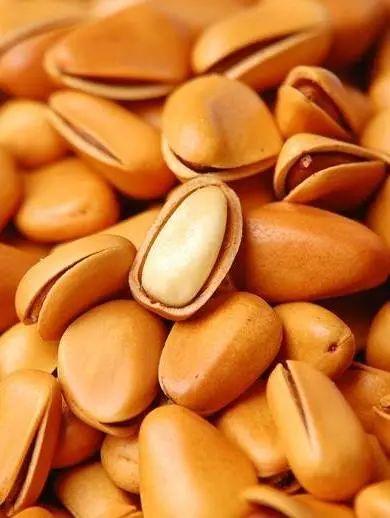 巴西松子的功效与作用，巴西松子的功效与作用、禁忌和食用方法（这些好吃的“健康的零食”）