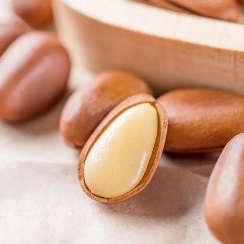 巴西松子的功效与作用，巴西松子的功效与作用、禁忌和食用方法（这些好吃的“健康的零食”）