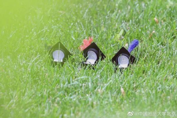 毕业礼物送什么好，毕业礼物送什么好女生小学（“最值钱”的毕业礼物刷屏）