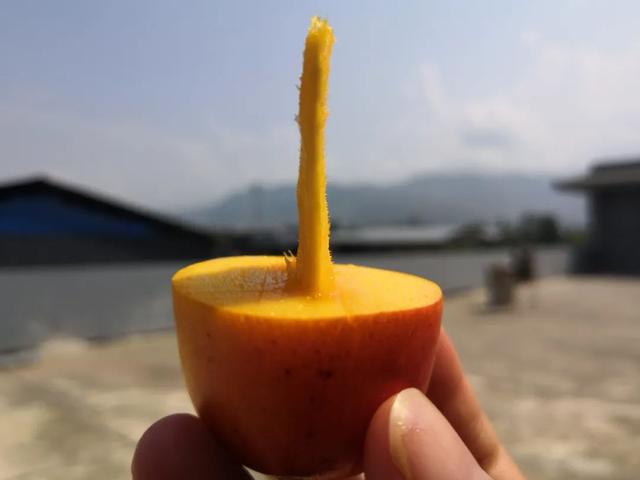 怎么剥芒果皮，怎么剥芒果皮好（19°蜜甜无纤维）