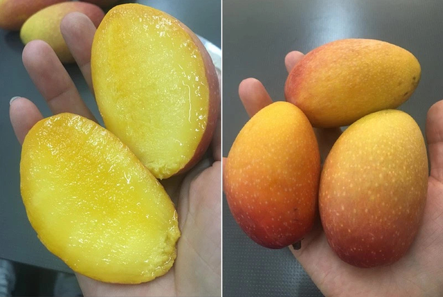 怎么剥芒果皮，怎么剥芒果皮好（19°蜜甜无纤维）