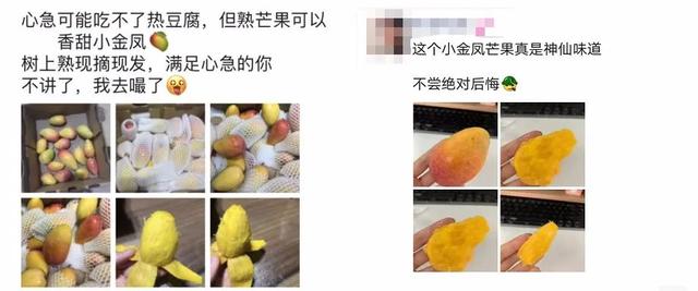怎么剥芒果皮，怎么剥芒果皮好（19°蜜甜无纤维）
