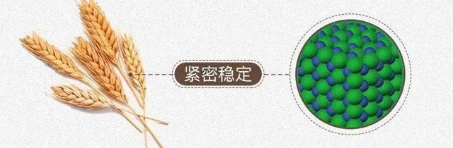 小麦秸秆是什么材质，小麦秸秆是什么材质有毒吗（还自带磨刀、磨蒜功能）