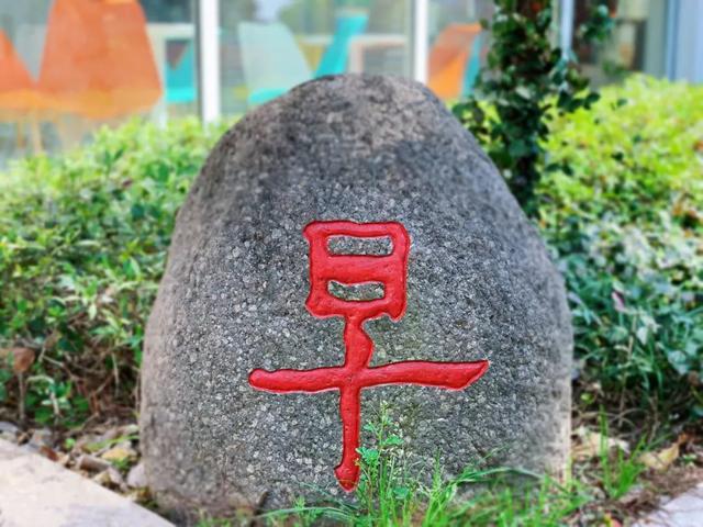 鲁迅中学柯桥校区，鲁迅中学柯桥校区官网教师（柯桥这些学校已经发布招生计划）