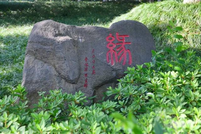 鲁迅中学柯桥校区，鲁迅中学柯桥校区官网教师（柯桥这些学校已经发布招生计划）