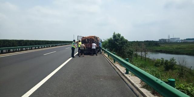 荣乌高速潍坊段，潍日高速具体路线图（山东潍坊：快来人）