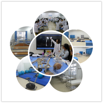 康复治疗学专业，康复治疗学专业就业前景（专业介绍，康复治疗技术）