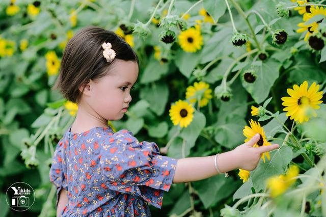 夏了夏天是什么意思，夏了夏天什么意思（夏了夏天）