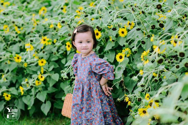 夏了夏天是什么意思，夏了夏天什么意思（夏了夏天）