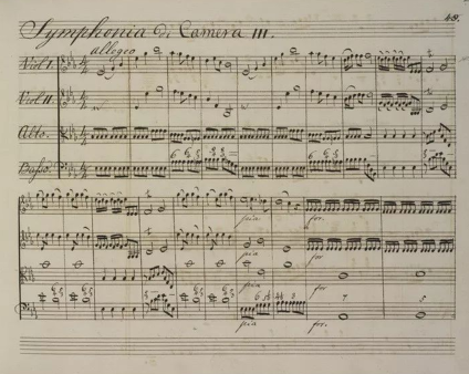 太阳自转吗，怎么证明太阳也在公转呢（太阳有自转吗）