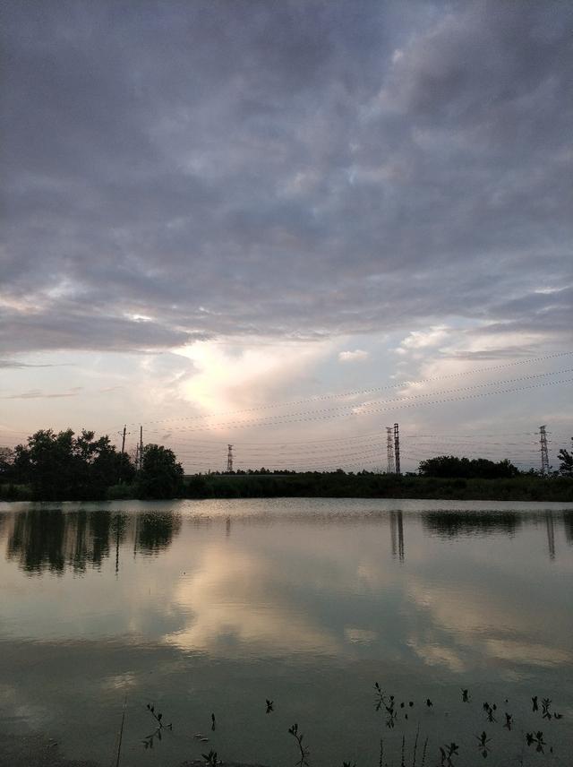 鲢鳙是什么鱼，鲢鳙是什么鱼图片（分享鲢鳙鱼的生活习性和垂钓技巧与方法）