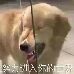 charon和pluto情侣名，PlutoCharon（自从用专业知识改了情侣名网名）