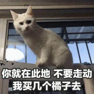 charon和pluto情侣名，PlutoCharon（自从用专业知识改了情侣名网名）