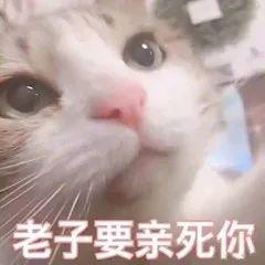 charon和pluto情侣名，PlutoCharon（自从用专业知识改了情侣名网名）