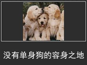 charon和pluto情侣名，PlutoCharon（自从用专业知识改了情侣名网名）