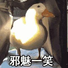 charon和pluto情侣名，PlutoCharon（自从用专业知识改了情侣名网名）